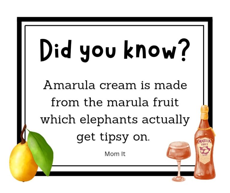 Did you Know
