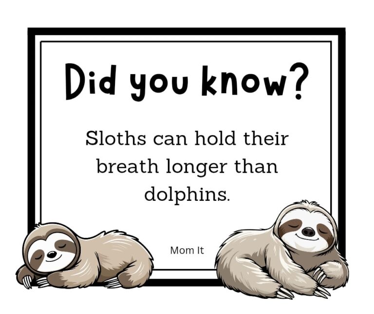 Did you Know