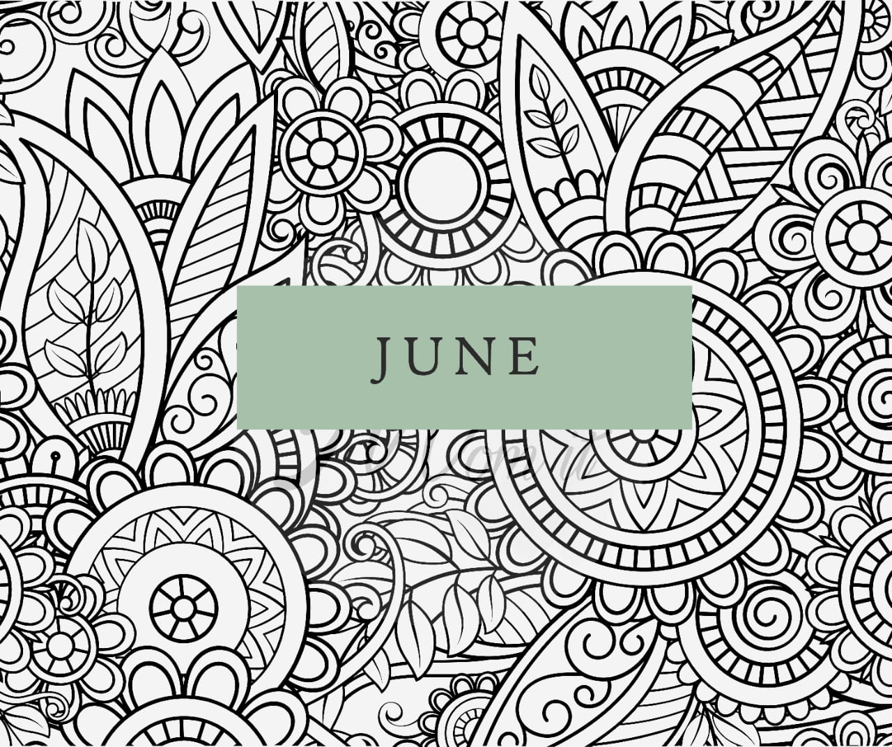 Downloadable Jun Monthly Meal Planner ( Freebie )