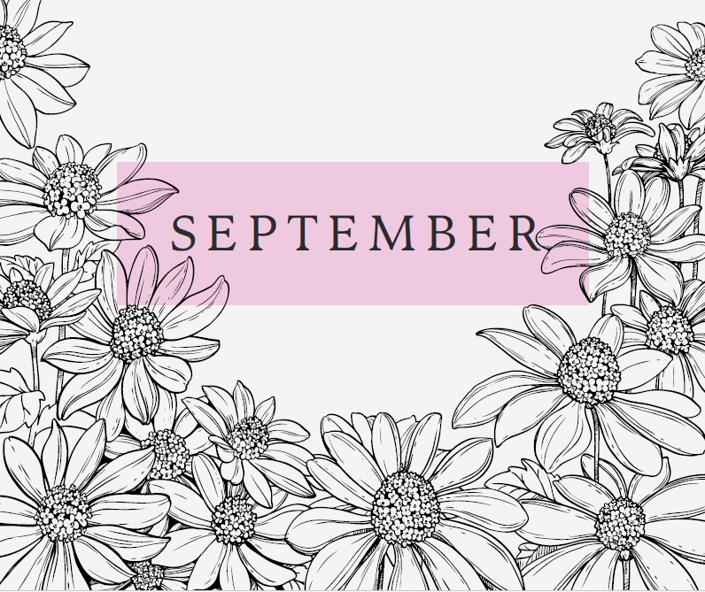 Downloadable September Monthly Meal Planner ( Freebie )