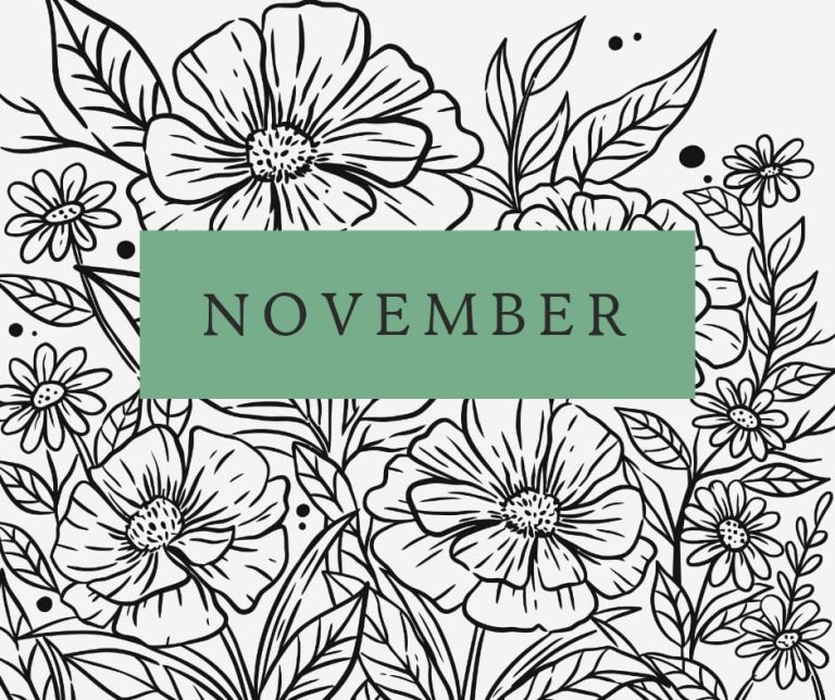 Downloadable November Monthly Meal Planner ( Freebie )