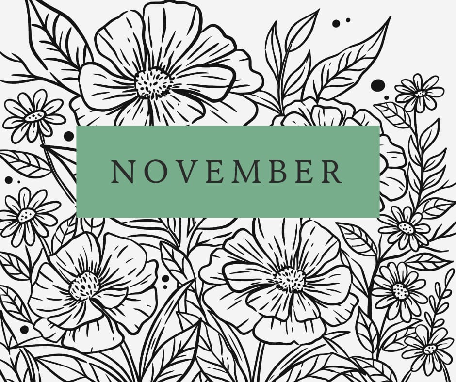 Downloadable November Monthly Meal Planner ( Freebie )